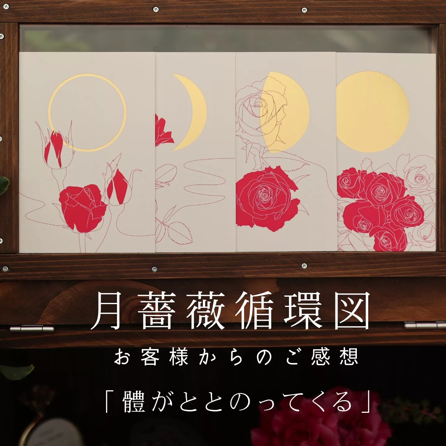 お客様からのご感想月薔薇循環図～お客様からのご感想～東京都練馬区・Dさまより
