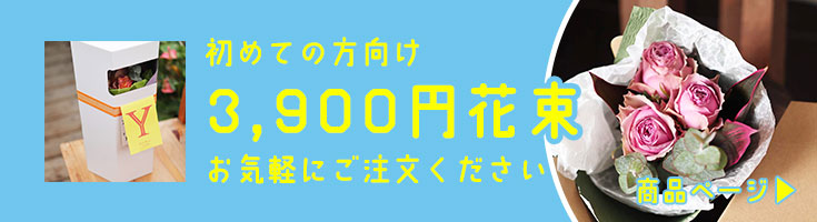 お試し3,900円花束