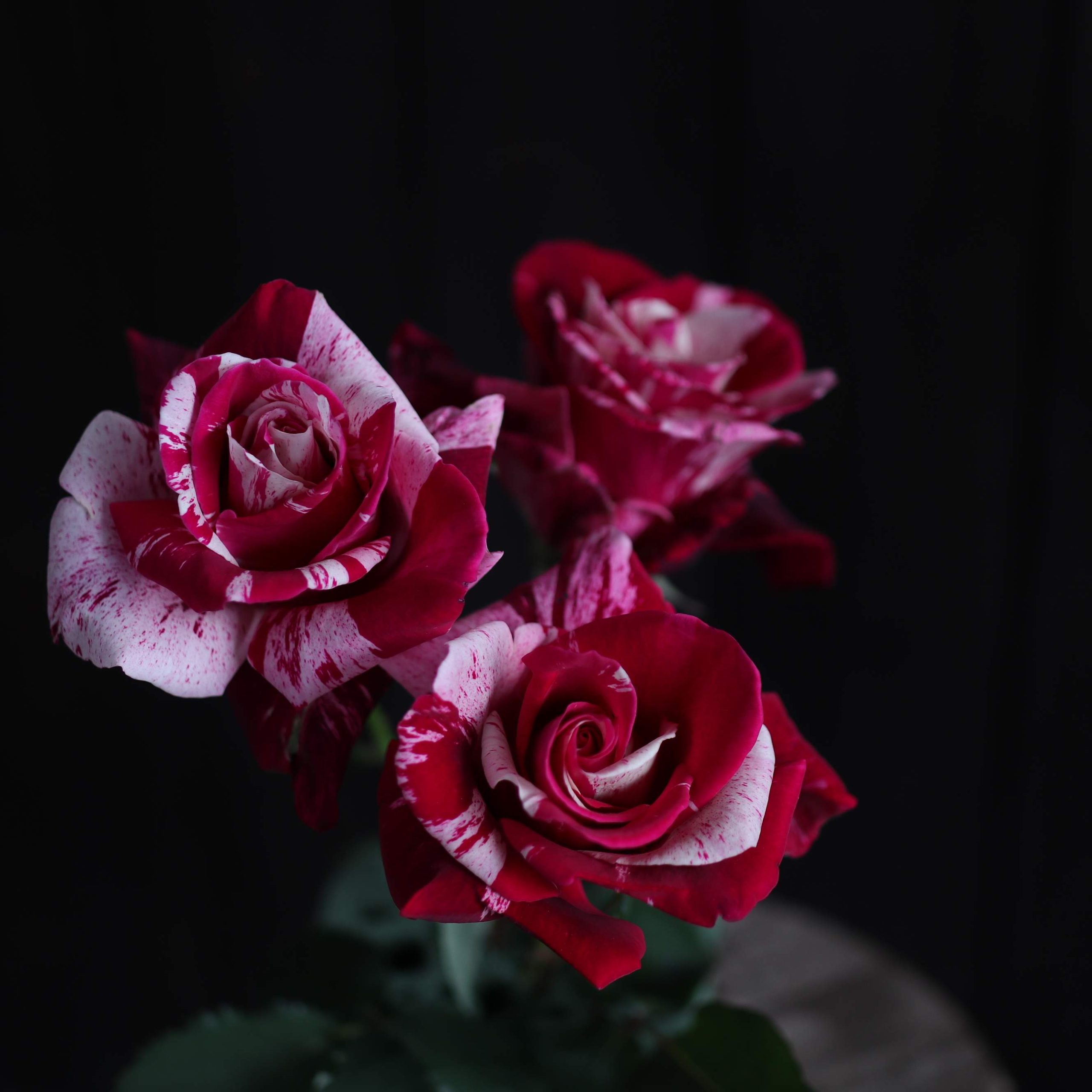 クレイジートゥ